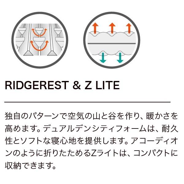 Therm-a-Rest サーマレスト Zライト レギュラー コヨーテ グレイ Therm-a-Rest サーマレスト Zライト レギュラー コヨーテ グレイ