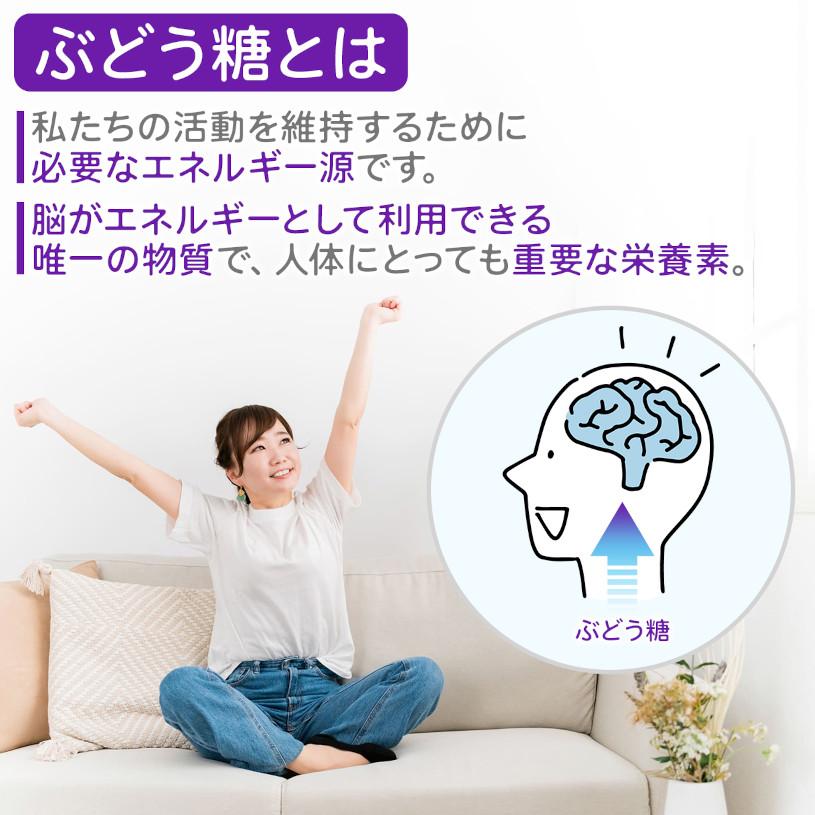 NICHIGA（ニチガ） 全糖ぶどう糖（グルコース） 600g 【メール便専用