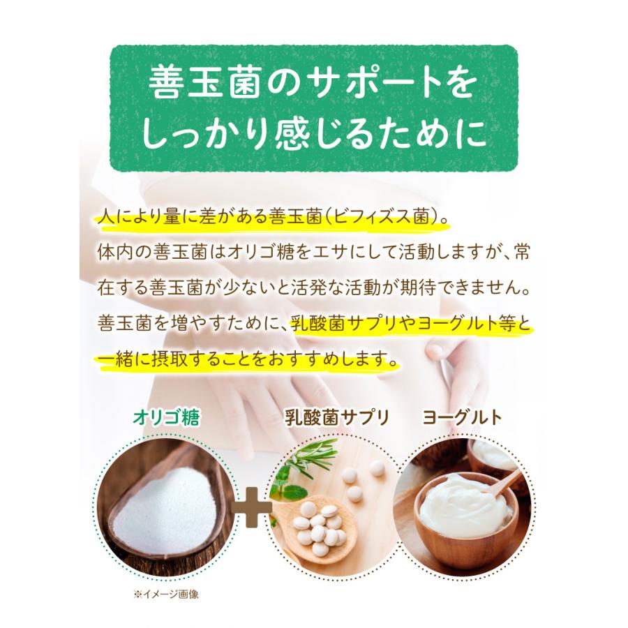 NICHIGA（ニチガ） フラクトオリゴ糖 500g 天然 チコリ由来 【メール