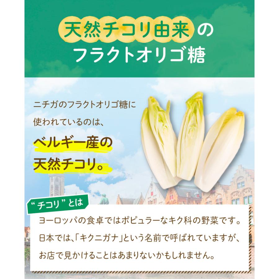 NICHIGA（ニチガ） フラクトオリゴ糖 500g 天然 チコリ由来 【メール