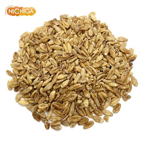 NICHIGA（ニチガ） スーパー大麦 バーリーマックス 700g 【メール便