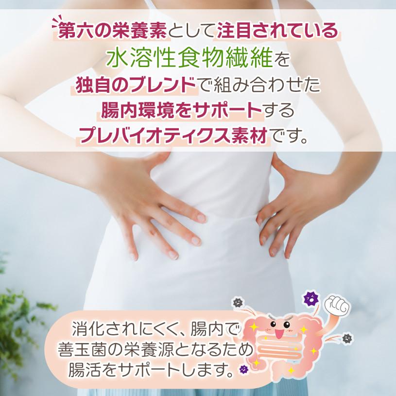 NICHIGA（ニチガ） ケストース プラス 水溶性食物繊維配合 150g 酪酸