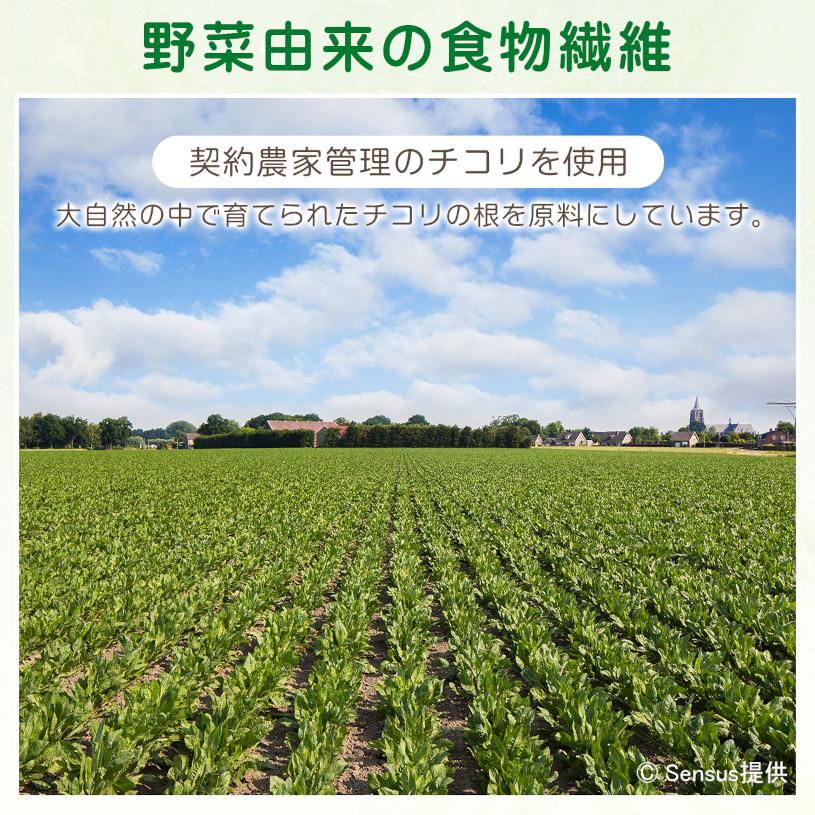 NICHIGA（ニチガ） 【機能性表示食品】天然由来 イヌリン 500g