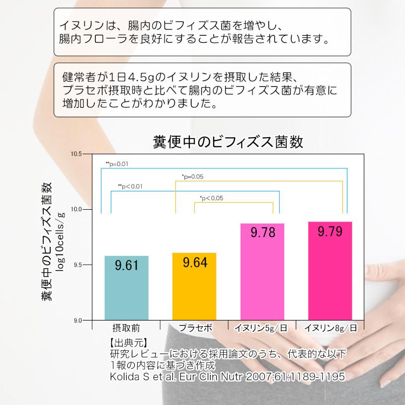 NICHIGA（ニチガ） 【機能性表示食品】天然由来 イヌリン 500g