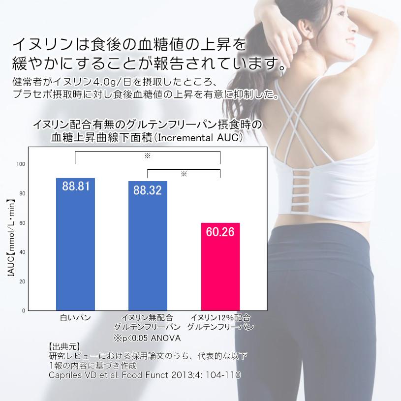 NICHIGA（ニチガ） 【機能性表示食品】天然由来 イヌリン 500g