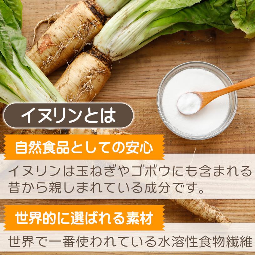 NICHIGA（ニチガ） 【機能性表示食品】天然由来 イヌリン 500g 食物