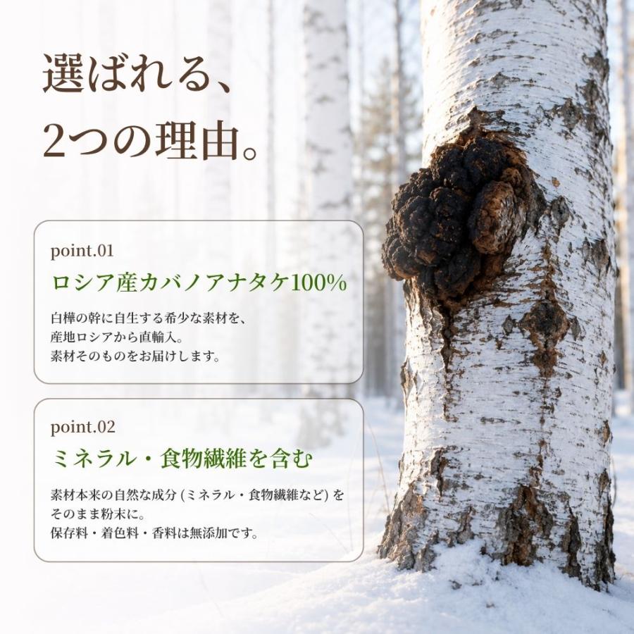 NICHIGA（ニチガ） カバノアナタケ 粉末 350g チャーガ キノコ茶 森の