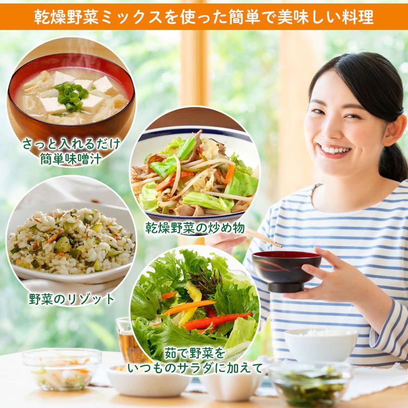 NICHIGA（ニチガ） 国産野菜キャベツミックス 700g 食物繊維たっぷり