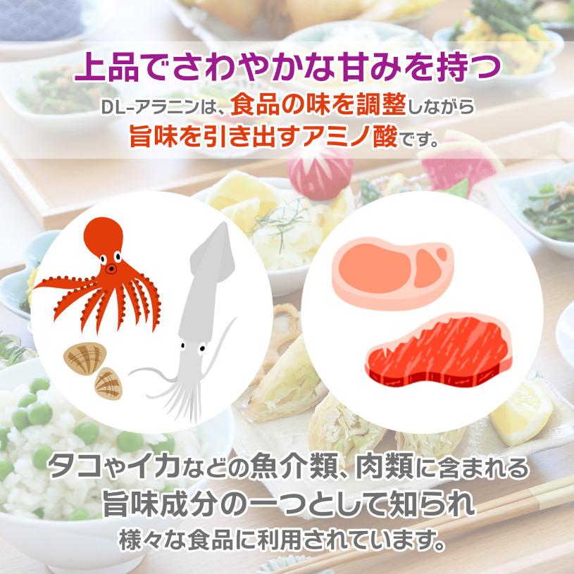 NICHIGA（ニチガ） DL-アラニン（国内製造）600g食品添加物 DL