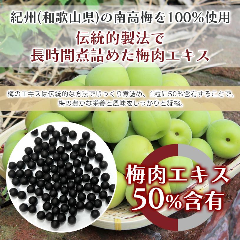 NICHIGA（ニチガ） 純国産 梅肉エキス粒 120g【メール便専用品】【送料