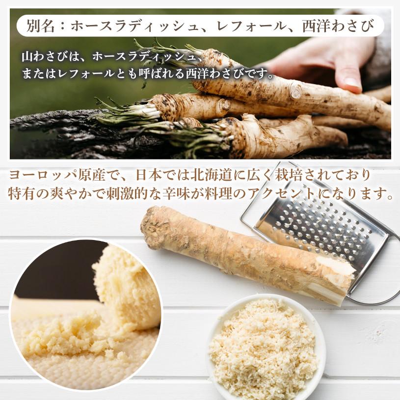 NICHIGA（ニチガ） 北海道産 粉わさび粉末 100g【メール便専用品
