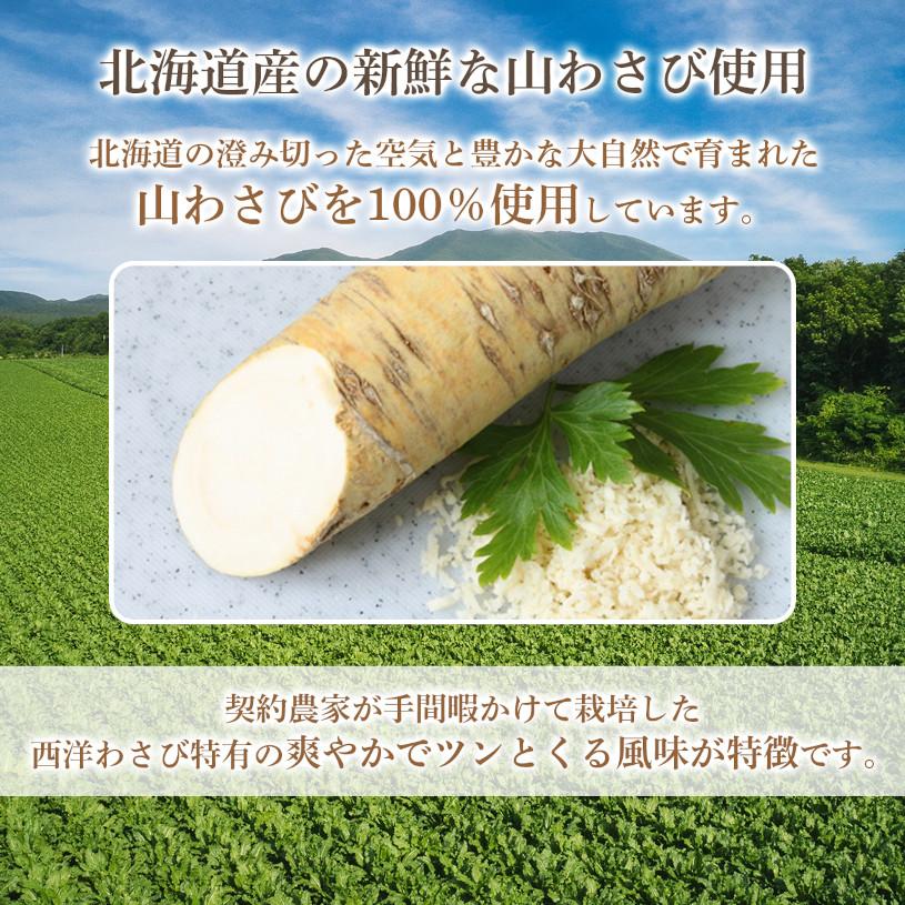 NICHIGA（ニチガ） 北海道産 粉わさび粉末 100g 山わさび100％ [契約