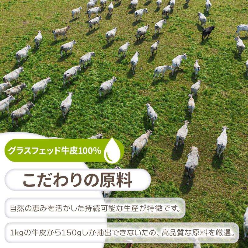 NICHIGA（ニチガ） グラスフェッド コラーゲン 1.2kg 糖質0・脂質0 無