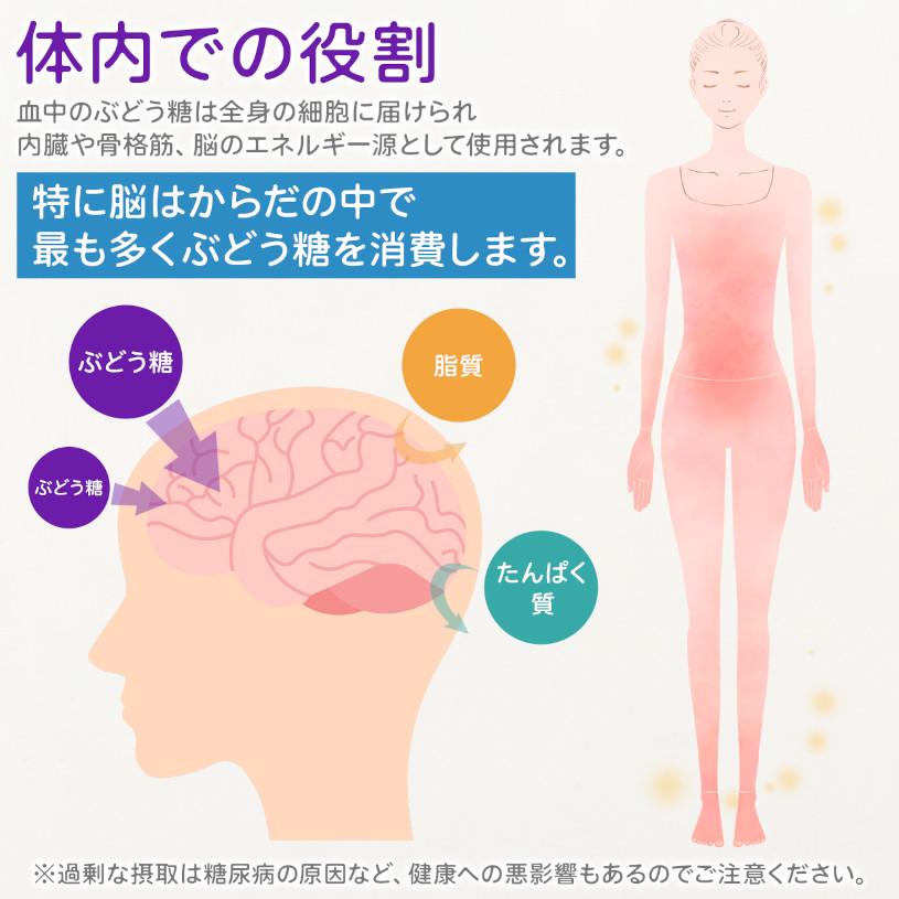 NICHIGA（ニチガ） 全糖ぶどう糖（グルコース） 3kg デキストロース