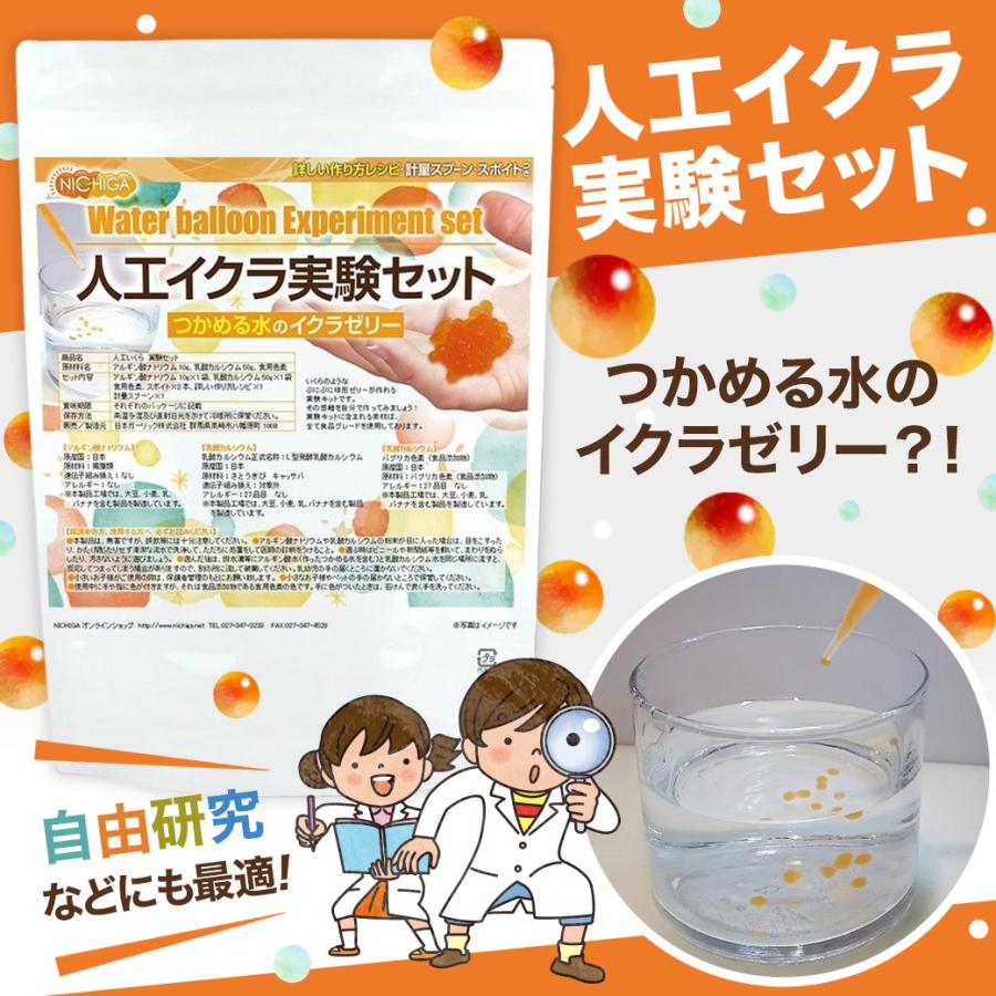 人工いくら実験セット イクラのようなぷにぷに球形ゼリーが作れる実験
