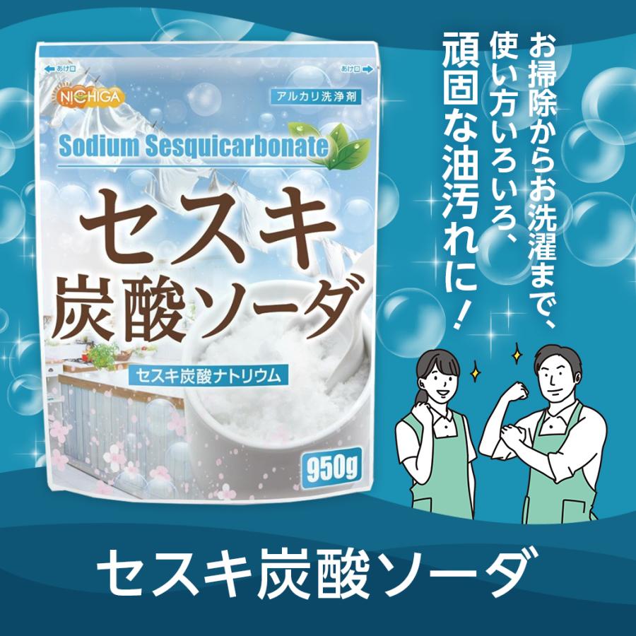 NICHIGA（ニチガ） セスキ炭酸ソーダ 5kg×2袋 アルカリ洗浄剤 TKJ