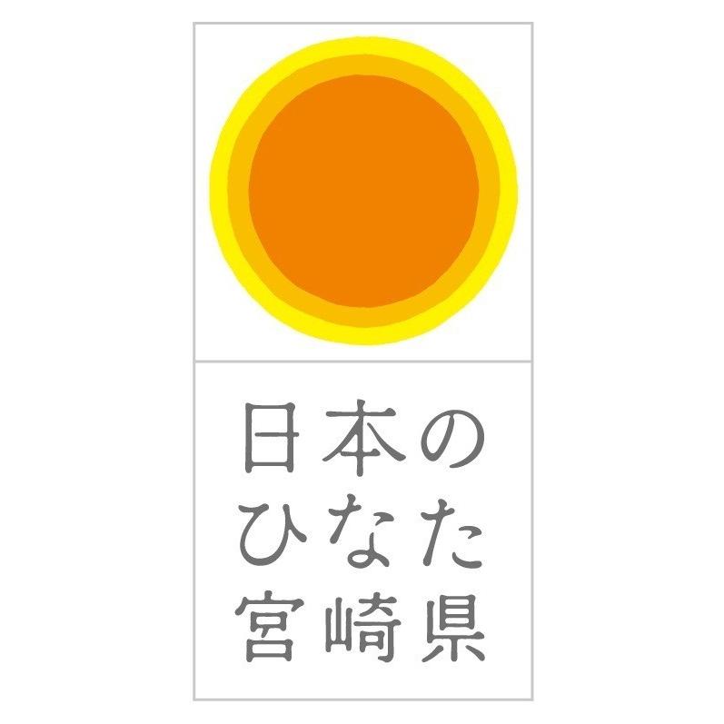 広島カープ公認 宮崎県限定 広島カープボトル 日南発（ひなた