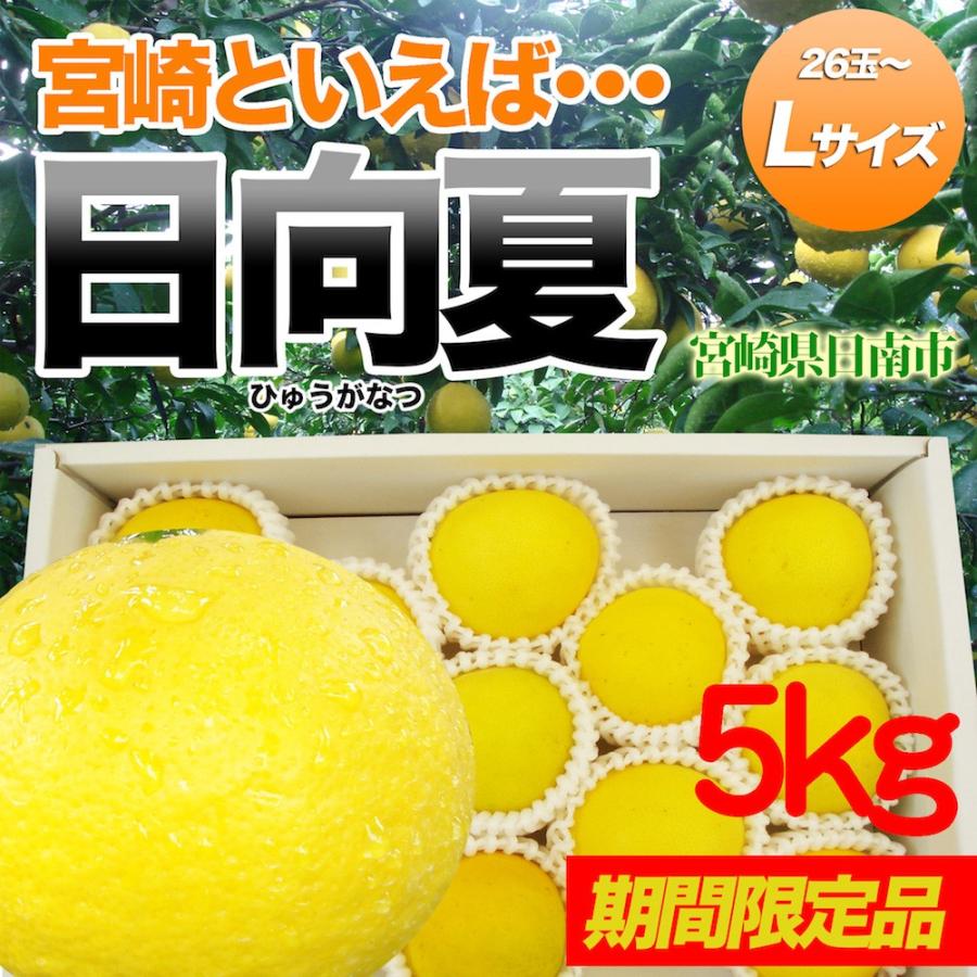 日向夏5kg Lサイズ 約26玉 宮崎県日南市直送 : 日南テレビショップ