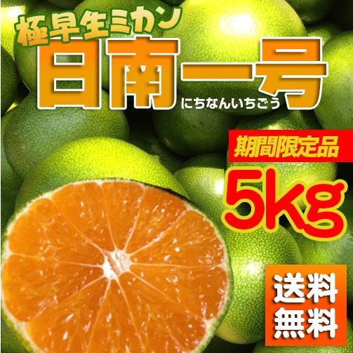 9月下旬より順次発送 極早生温州みかん「日南一号」5kg 宮崎県日