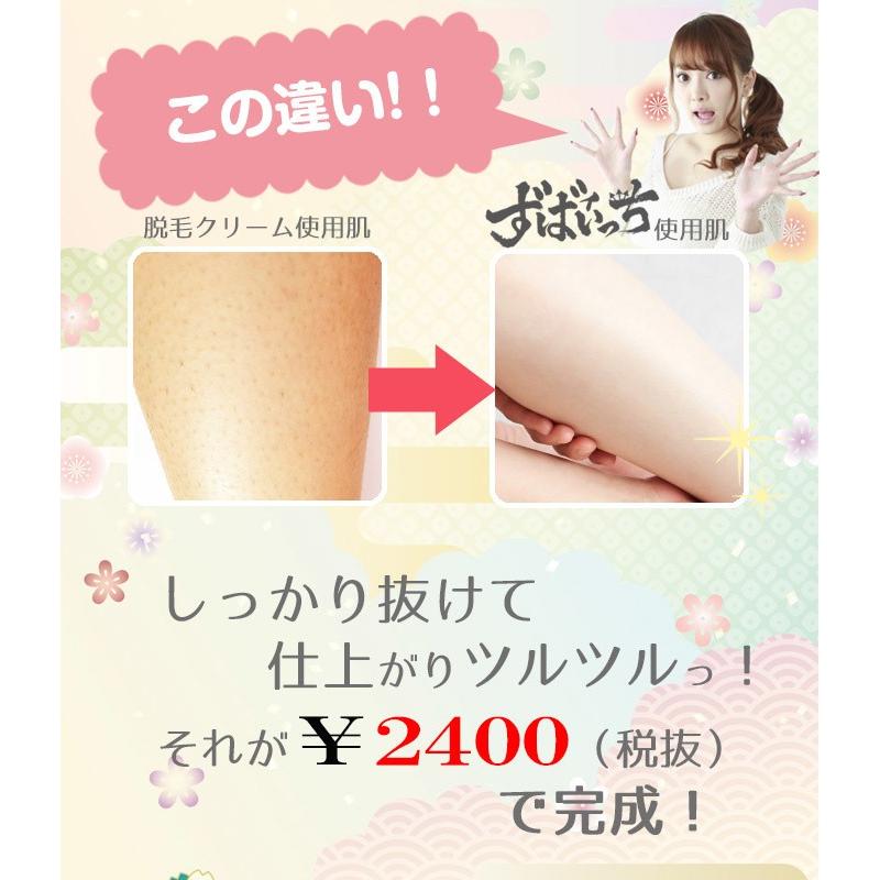ずばいっち ズバイッチ10g10包 ザ ジャパニーズ キャンディ
