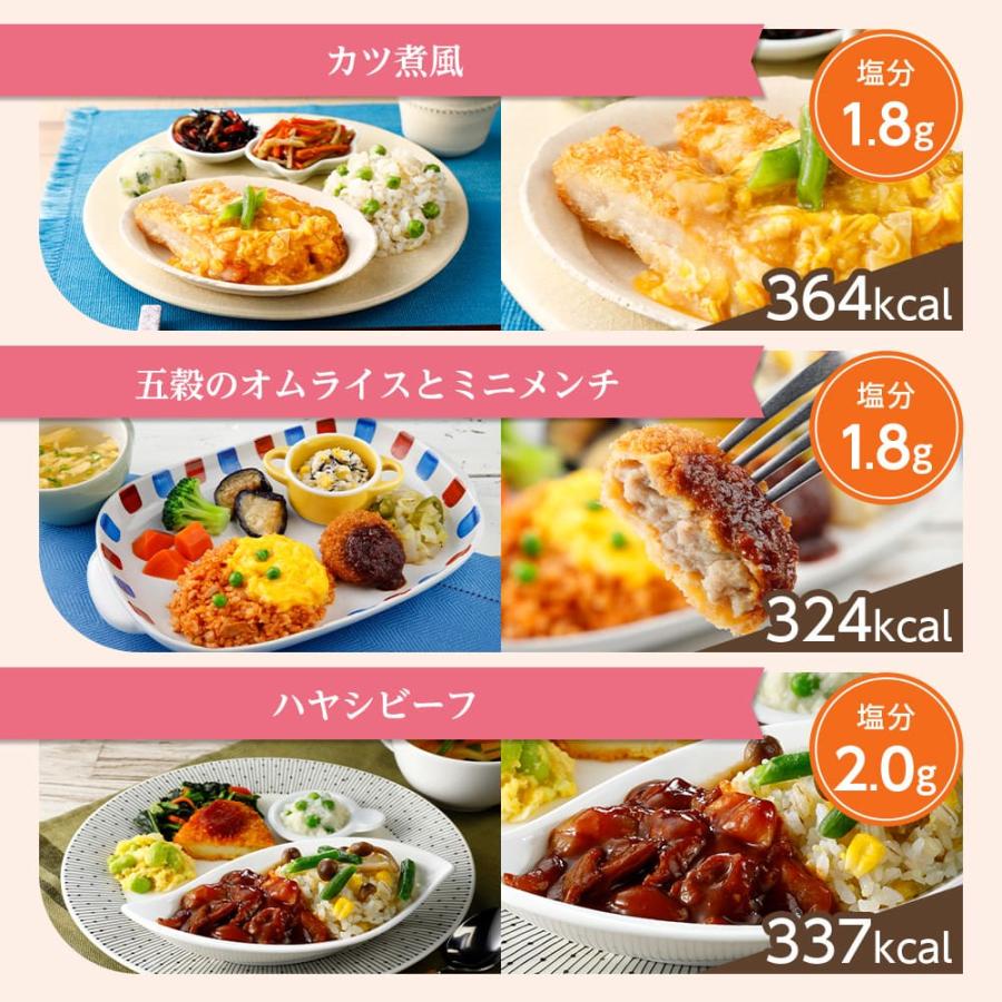 宅配 冷凍弁当 ウーディッシュ バラエティ20食セット セット 冷凍 弁当 冷凍食品 お弁当 冷凍おかずセット ごはんつき 主食付 宅配弁当 ニチレイフーズ｜nichireifoods｜09