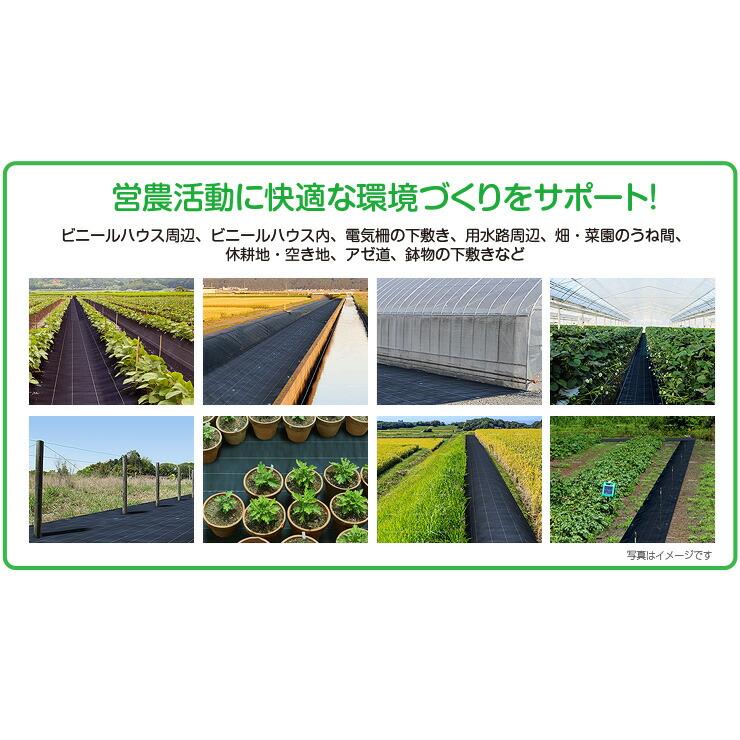 日本マタイ 10年 100cm 1m 100m 1×100m HC10650 防草シート 除草シート