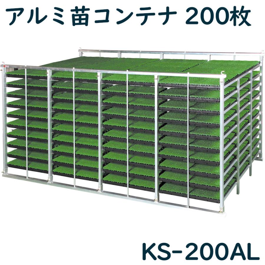 苗箱　２００枚 200枚セット) 中成苗用 育苗箱 1300穴 水稲用 内寸580×280×30 (法人