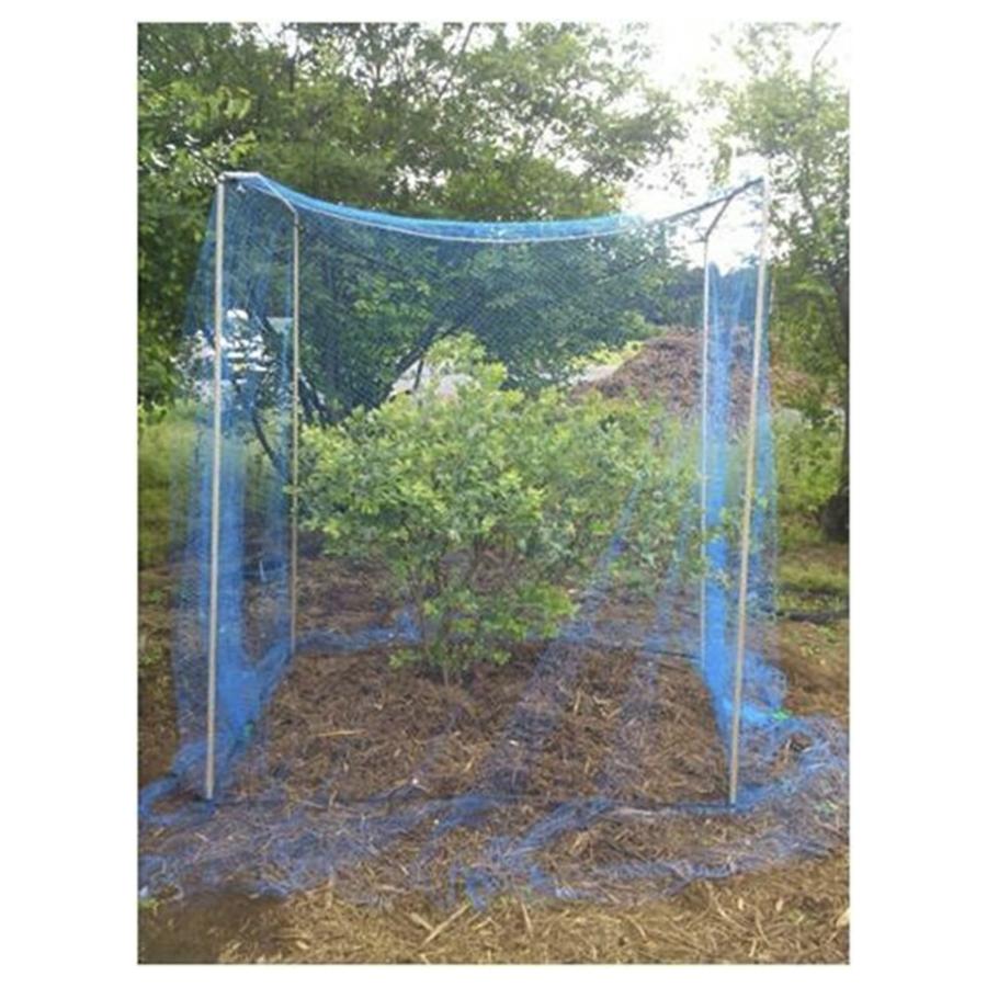 日本マタイ 防鳥網 直がけ 果樹用 12m&times;12m ブルーベリー サクランボ リンゴ 20mm目