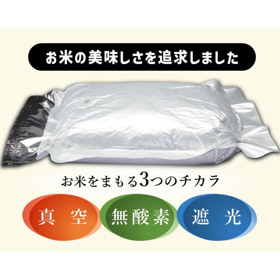環境技研 米ガード アルミ製 真空パック お米 保存袋 30kg 極厚 真空