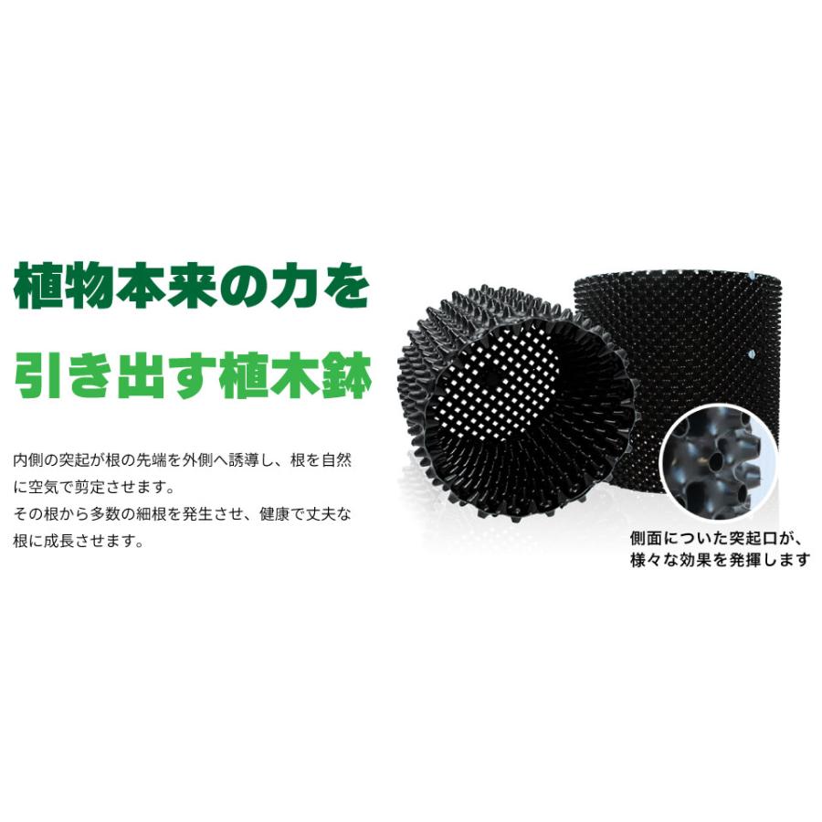 【50個組】 RootPlus ルートプラスポット ガーデニング 植木鉢 植物 栽培 造園 南栄工業 NAN-A 黒 GS-AP200M 7.5L 送料無料の画像