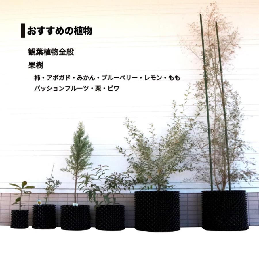 【50個組】 RootPlus ルートプラスポット ガーデニング 植木鉢 植物 栽培 造園 南栄工業 NAN-A 黒 GS-AP200M 7.5L 送料無料の画像