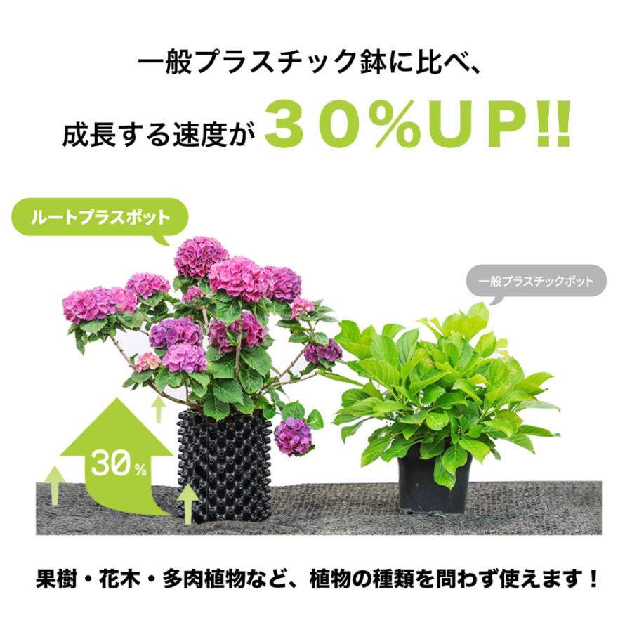 10個組】 RootPlus ルートプラスポットミニ ガーデニング 植木鉢 植物