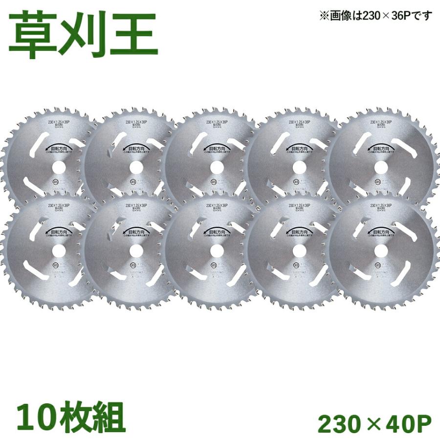 10枚組】 草刈王 チップソー バクマ工業 BAKUMA 230×40P 外径230mm 40