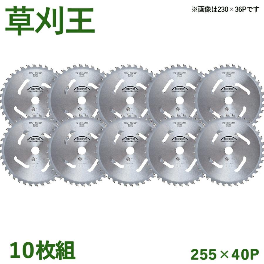 10枚組】 草刈王 チップソー バクマ工業 BAKUMA 255×40P 外径255mm 40 