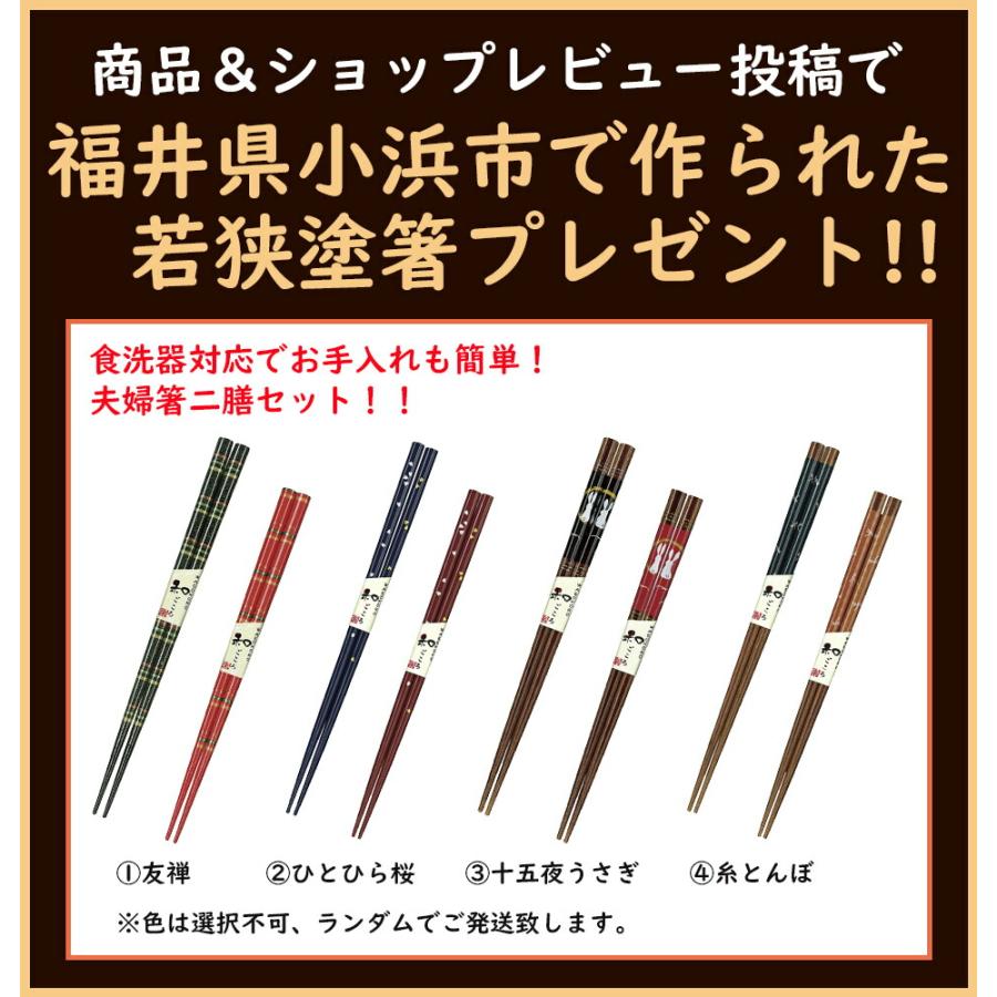 エムケー精工 MK 白米 玄米 定温米びつ 保冷米びつ クールエース