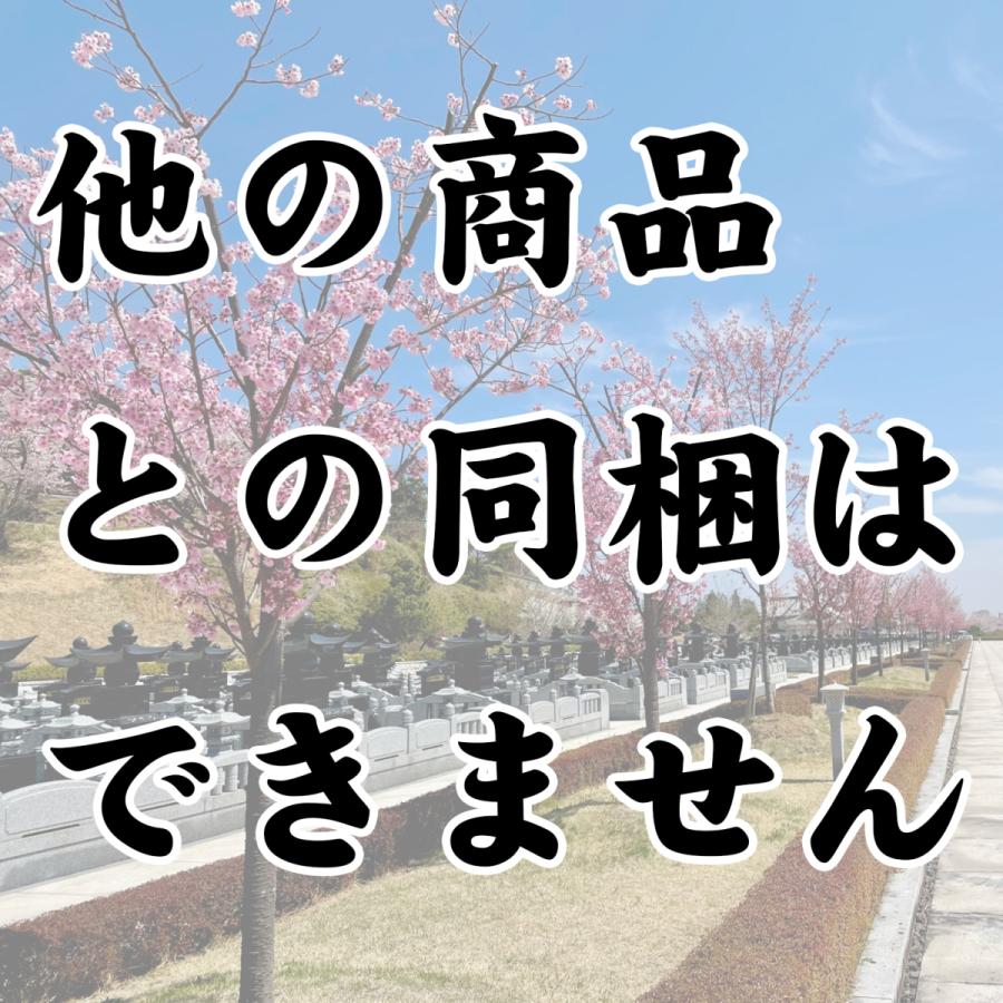 オプション【3平米 D・E区画】墓所内 基本維持清掃 月1回×12ヶ月 1年分（同梱不可）｜nichirin｜02