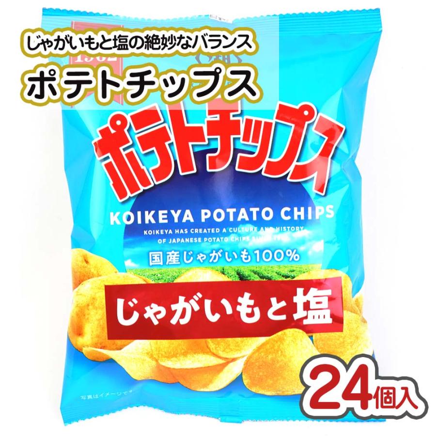 ポテトチップス じゃがいもと塩 小袋 ( 24個入) お菓子 まとめ買い 箱