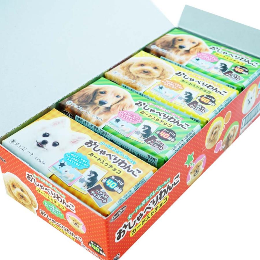 k【秋・冬限定】正栄デリシィ おしゃべりわんこ クランチ チョコレート