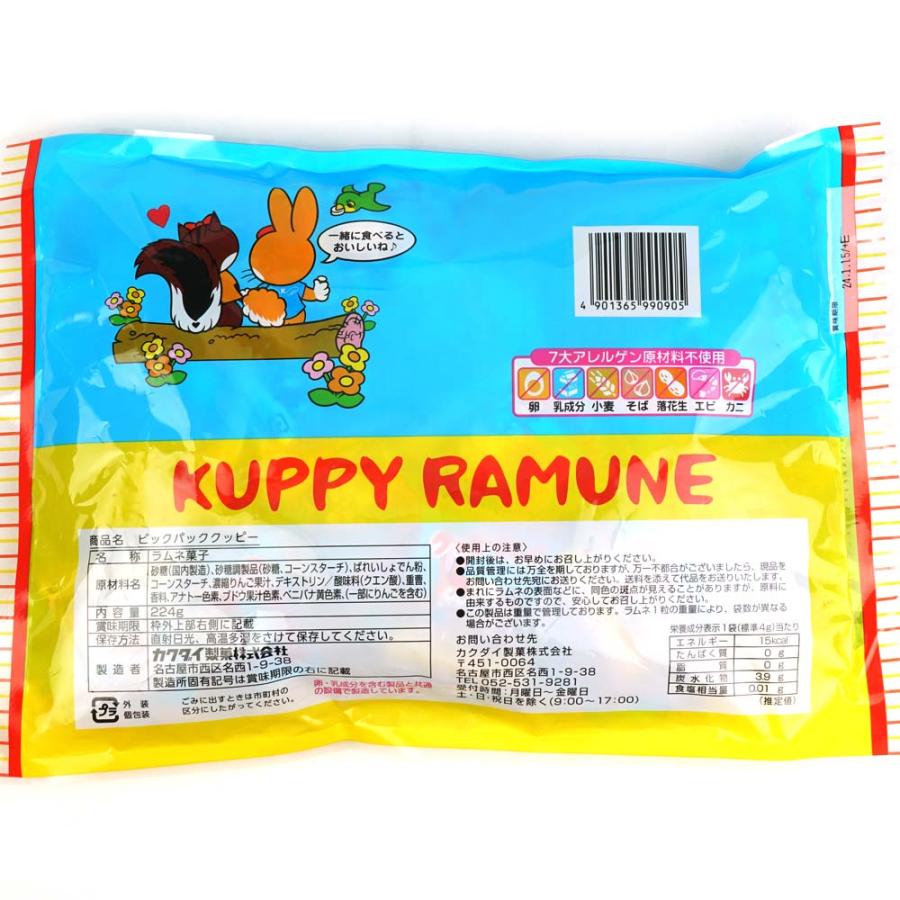 ビックパッククッピー 大袋 (20個入) / 駄菓子 まとめ買い 箱買い