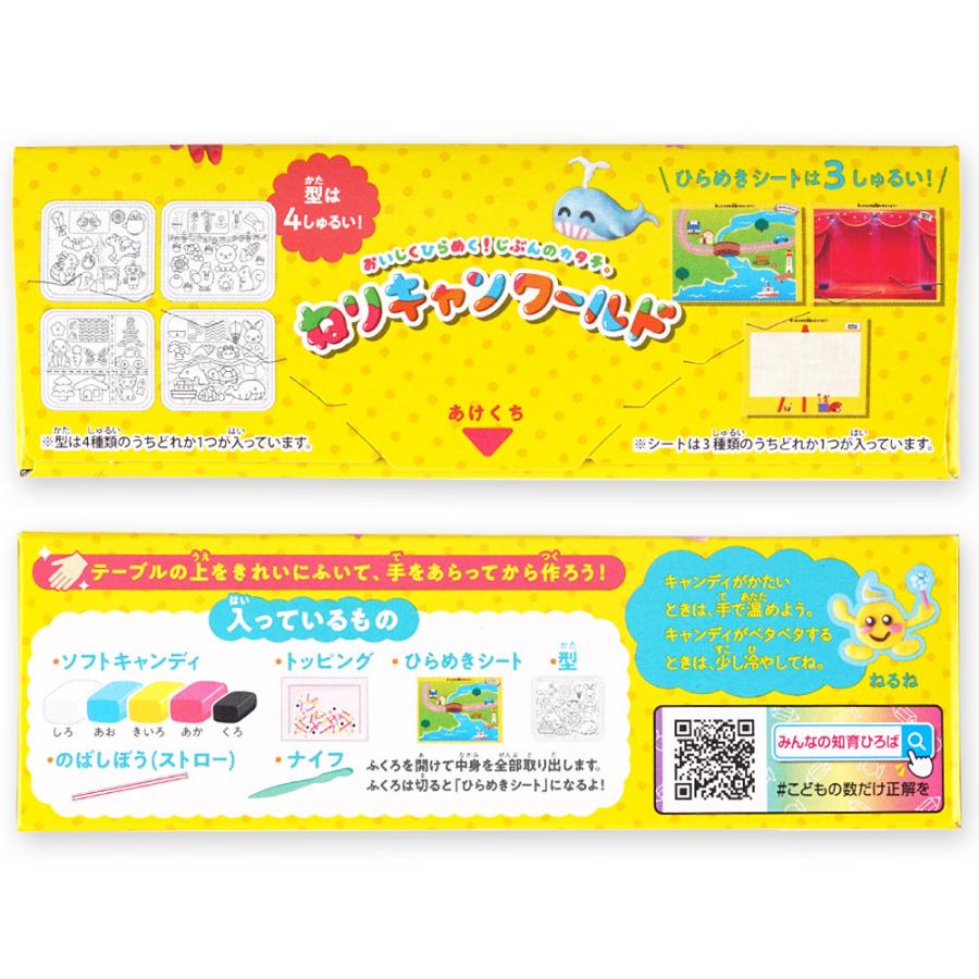 知育関連教材　超まとめ売り！　バラ売り不可 知育菓子授業教材ONLINE SHOP