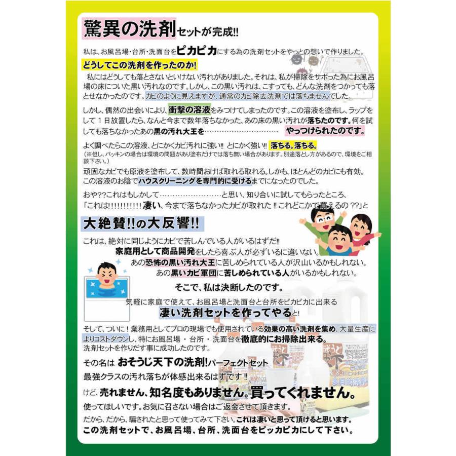 驚異の洗剤セット 防カビ剤 防カビスプレー お風呂場 防カビ剤 カビ防止剤 抗菌剤 エアコンの防カビ剤 エアコンのカビ防止剤もセットしてます。|NIC家電・水素水事業部|04