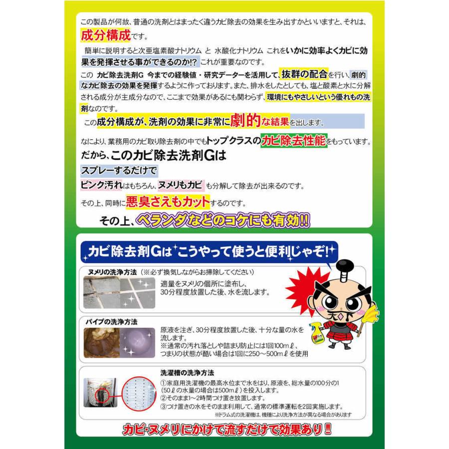 驚異の洗剤セット 防カビ剤 防カビスプレー お風呂場 防カビ剤 カビ防止剤 抗菌剤 エアコンの防カビ剤 エアコンのカビ防止剤もセットしてます。|NIC家電・水素水事業部|06