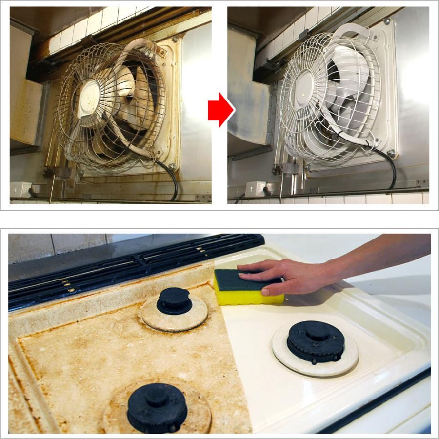 オンライン限定商品 驚異のヤニ取りクリーナー 油汚れ 洗剤 ヤニトリクリーナー ヤニ落とし洗剤 ヤニ取りスプレー ヤニ取り 壁 ヤニ落し 最強クラス 厨房 おそうじ天下a2l分 Riosmauricio Com