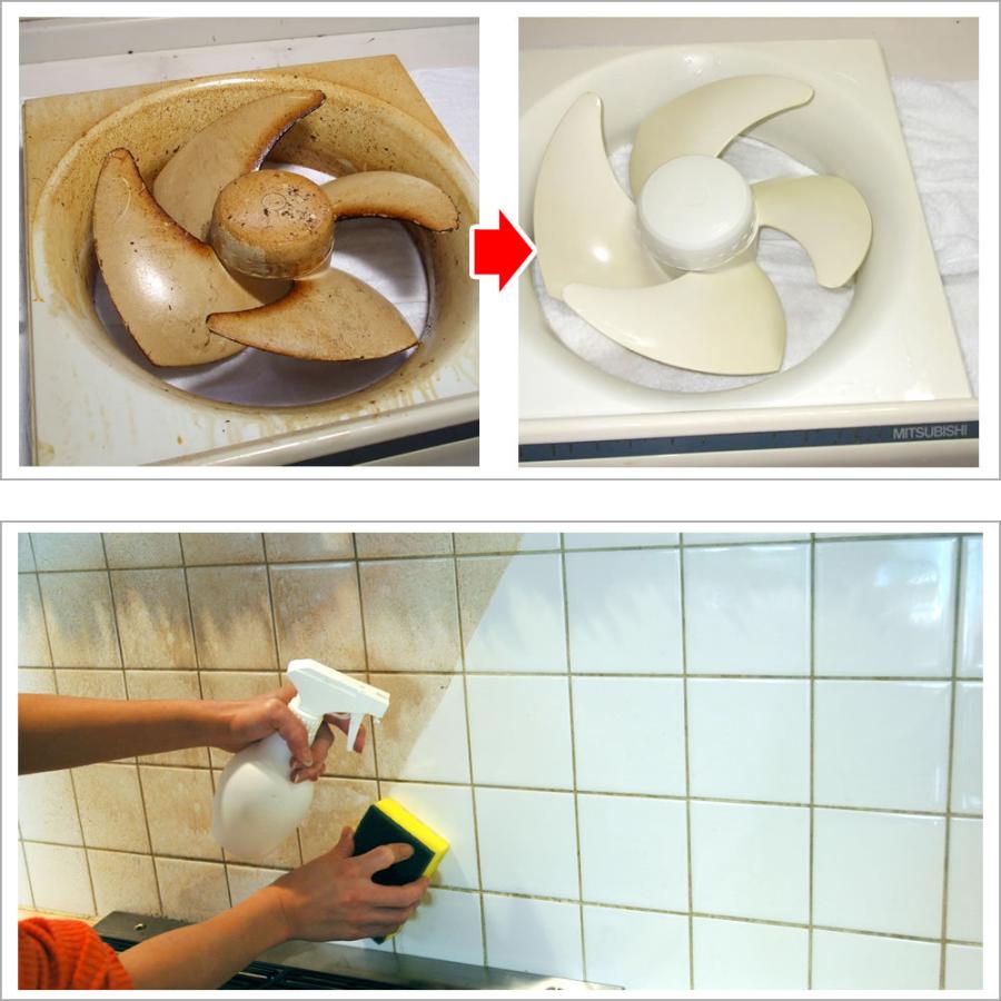 お手頃価格 驚異のヤニ取りクリーナー 油汚れ 洗剤 ヤニトリクリーナー ヤニ落とし洗剤 ヤニ取りスプレー ヤニ取り 壁 ヤニ落し 最強クラス 厨房 おそうじ天下a2l分3 990円 Aynaelda Com