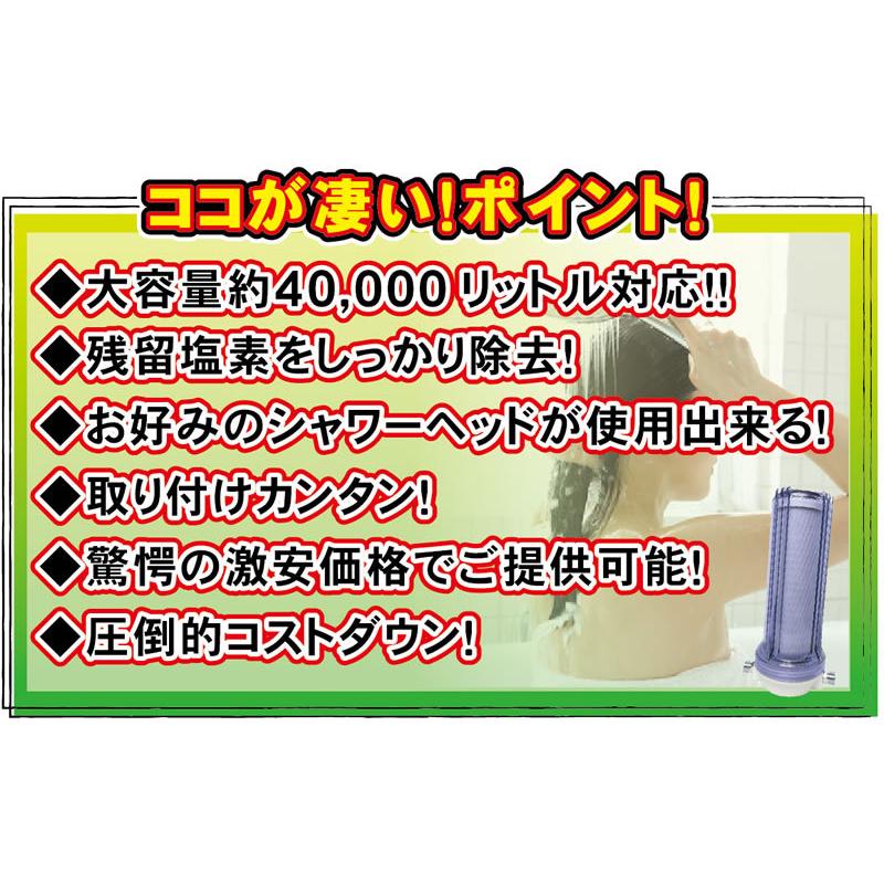 お風呂用浄水器 Queen Spa（クイーンスパ）お風呂で塩素カット 大容量フィルター 乾燥肌・敏感肌などデリケートなお肌やの方にオススメ お風呂で塩素除去の画像