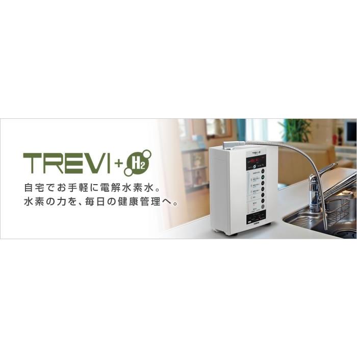 トレビ 次亜塩素酸水(強酸性水) 生成可能 トレビFWH-6000(W トレビ 次亜塩素酸水(強酸性水) 生成可能 トレビFWH-6000(W