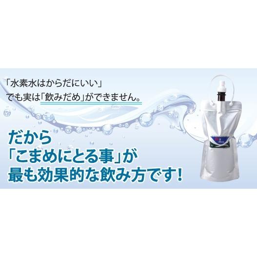 H2-BAG 500ml 水素水用真空保存容器 （エイチツーバッグ） 「あすつく
