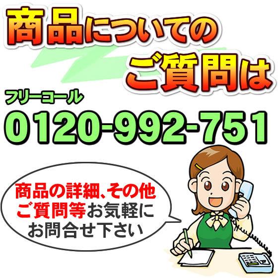 高須産業（TSK） SDG-1200GBM 浴室用 涼風暖房機（壁面取付タイプ  