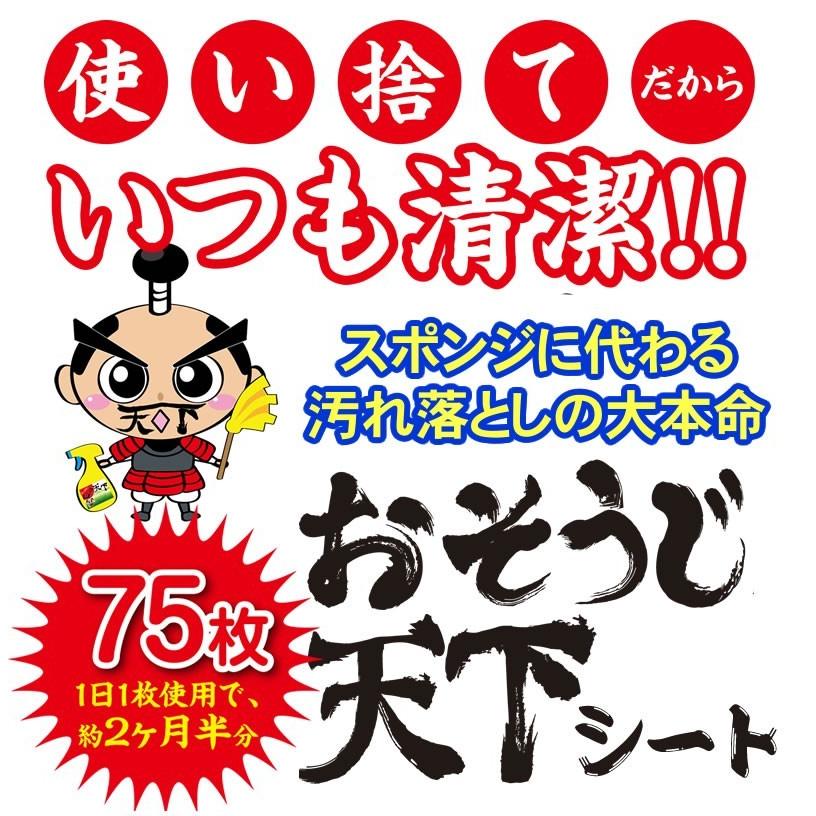 「お掃除の大革命・汚れ落としの大本命」　食器洗い・油汚れ・水垢など　繰り返し使える丈夫なポリプロピレン製シート　おそうじ天下シート（10本セット）｜nickangensuisosui｜02