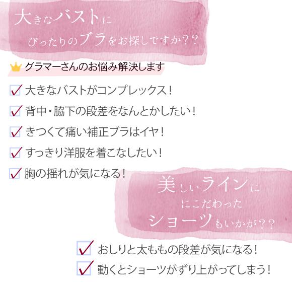 ブラジャーショーツセットe70 H90バストが揺れにくい大きい胸をすっきり見せる脇高ブラセット Br Nd 01bs 送料無料 メール便不可 Br Nd 01bs Nicoインナーショップ 通販 Yahoo ショッピング